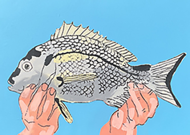No Mean Feat (bream)